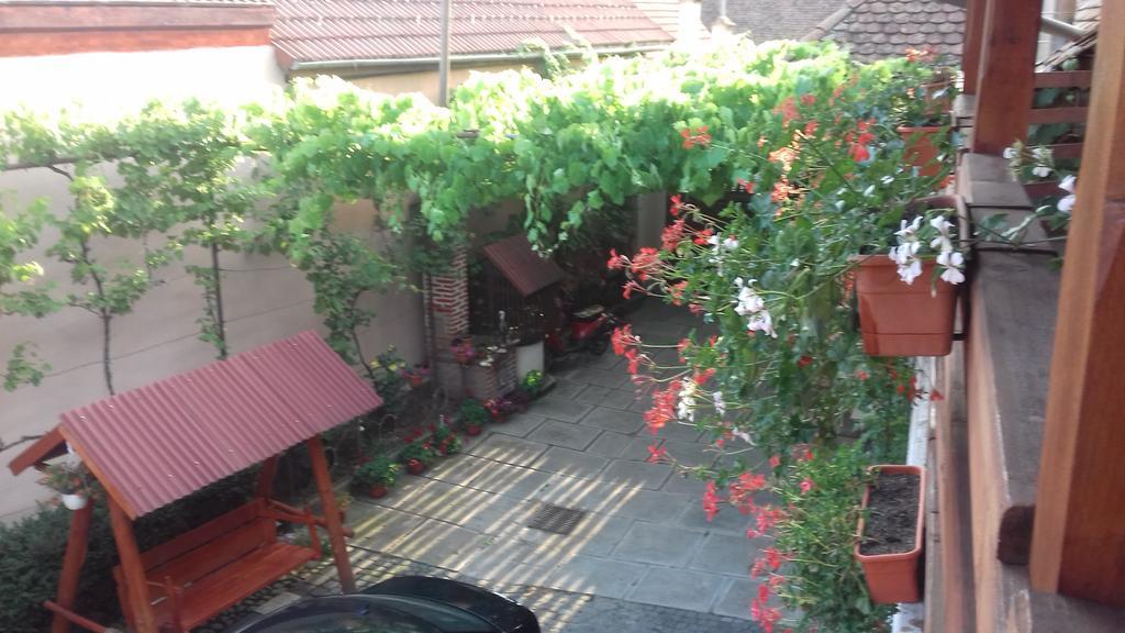 Pensiunea Razvan Gura Rîului エクステリア 写真
