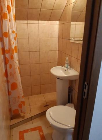 Pensiunea Razvan Gura Rîului エクステリア 写真